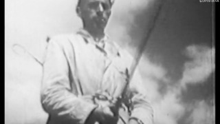 Saumon, histoire d'un retour ?