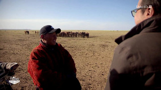 Des trains pas comme les autres