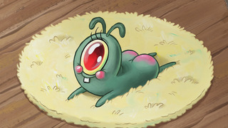 Plankton pour bébés / Bob la muse