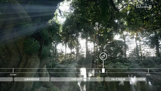 La fabuleuse histoire des oiseaux, des dinosaures parmi nous