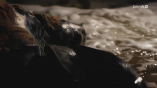 Héroïnes de nature