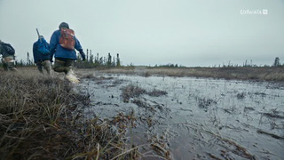 Le rêve de Léonard, les secrets du vol dans la nature