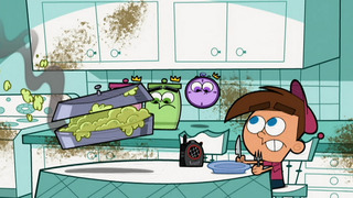 Le combat des chefs / Drôles de zozos au zoo