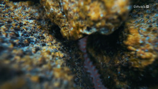 Le volcan de la Palma : la vie après l'éruption