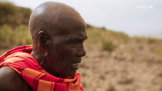 Kenya : les gardiens de la savane