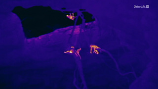 Afrique, les trésors cachés de la nature - Au coeur du volcan