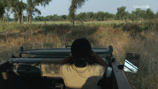 Gorongosa, le parc de la réconciliation