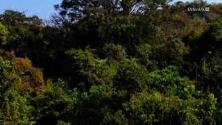 Merveilles de la nature