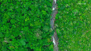Merveilles de la nature