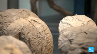 FRMG COEUR PDA ABAKANOWICS 260516 -2026-- Ep 11