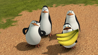 Les Pingouins de Madagascar - Saison 3