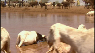 Opération Okavango