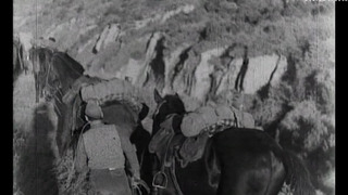 Hommage à la Catalogne