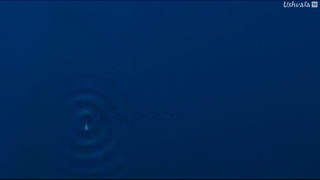 Méditerranée, l'odyssée pour la vie