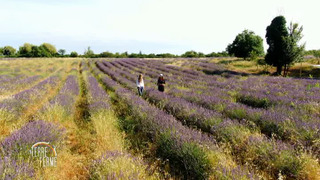 En Terre ferme