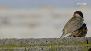 Des mains vertes pour la nature