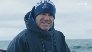 A la rencontre des requins avec Steve Backshall