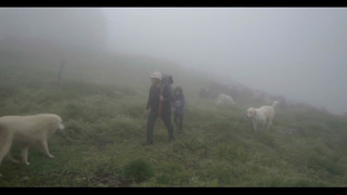 La vie d'en haut