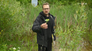 La forêt gourmande