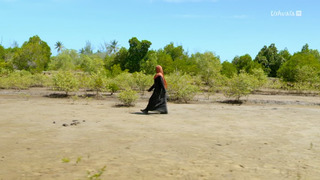 Horizon 2050