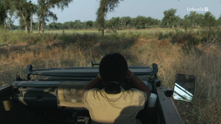 Gorongosa, le parc de la réconciliation