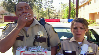 Reno 911! - Saison 5