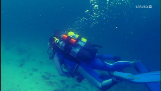 Opération Okavango