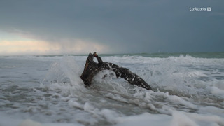 Face au Climat