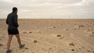 Les voix du Sahara