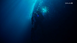 A la rencontre des baleines avec Steve Backshall