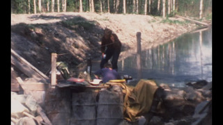 Ida et la forêt : un conte finlandais