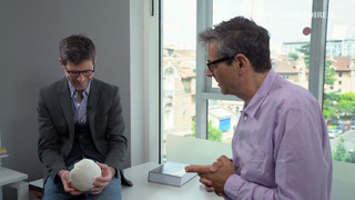 L'histoire au scalpel