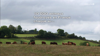 La science des forces de la nature