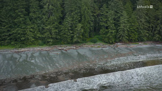 Les îles, laboratoires de la nature