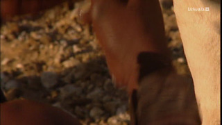 Opération Okavango