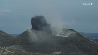 Survivre aux catastrophes : les stratégies de la nature