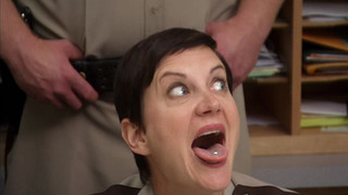 Reno 911! - Saison 6